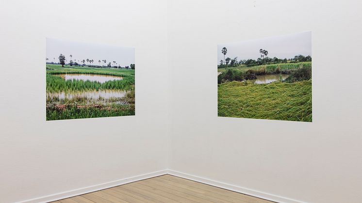 Vandy Rattana, Bomb Ponds, 2009