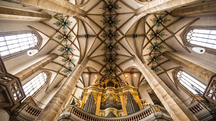 Freiberger Dom St. Marien (Foto: TVE/Greg Snell)