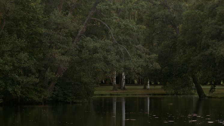 Lars Nilsson, Park II (2011).
