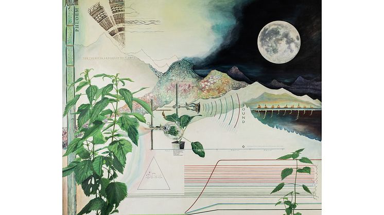 Christine Ödlund, Plant Perception 1, 2015. Courtesy Antonia Johnson Family Collection 1x1