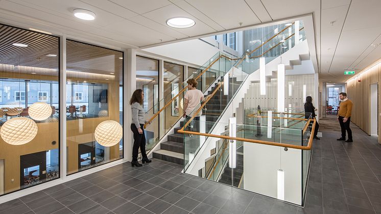 Länsförsäkringar Västerbotten, Umeå - LINK arkitektur