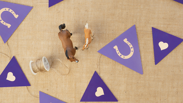 birthday party_Horse Club_garland
