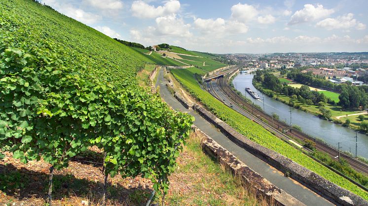 Vingården Würzburger Steins branta sluttning ligger i ett perfekt söderläge ovanför staden Würzburg. 