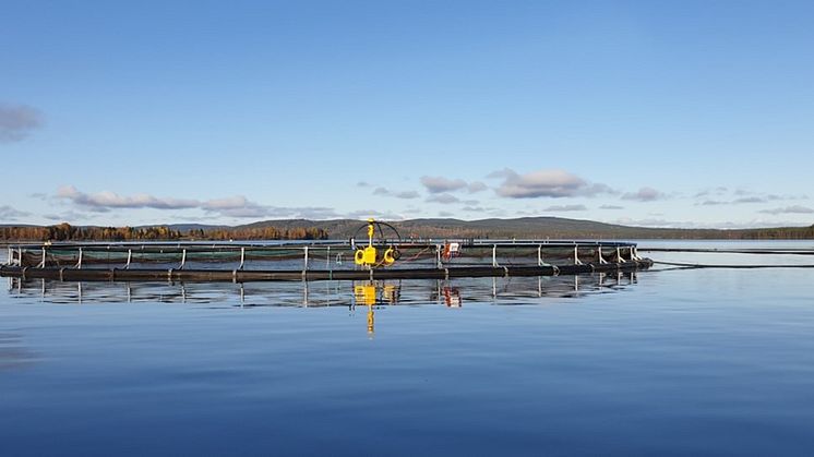 Innovationsprojekt inom vattenbruk