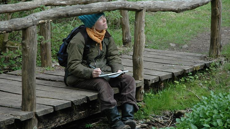 Kunstnerne finder deres motiver i naturen - foto: Danske kunstnere for natur og miljø