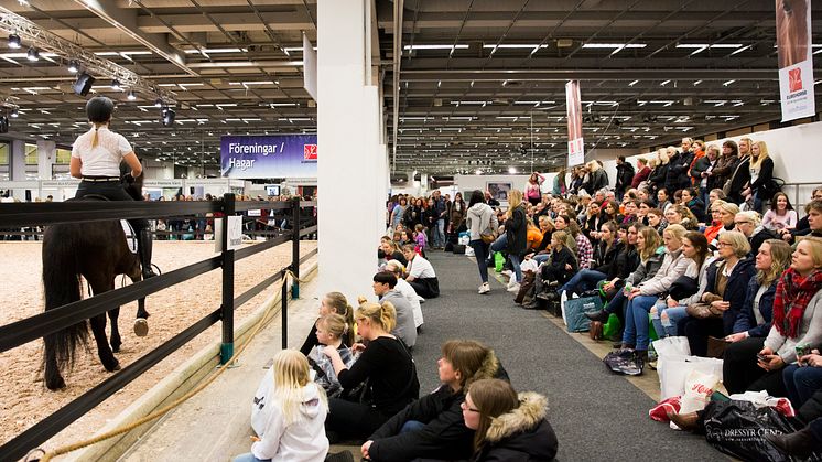 Hästuppvisning på EuroHorse 2015