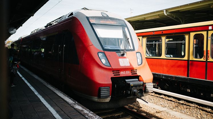 Mit dem 9-Euro-Ticket kann man im Sommer kostengünstig durch Brandenburg reisen und Ausflüge unternehmen. Foto: TMB-Fotoarchiv/Steven Ritzer. 