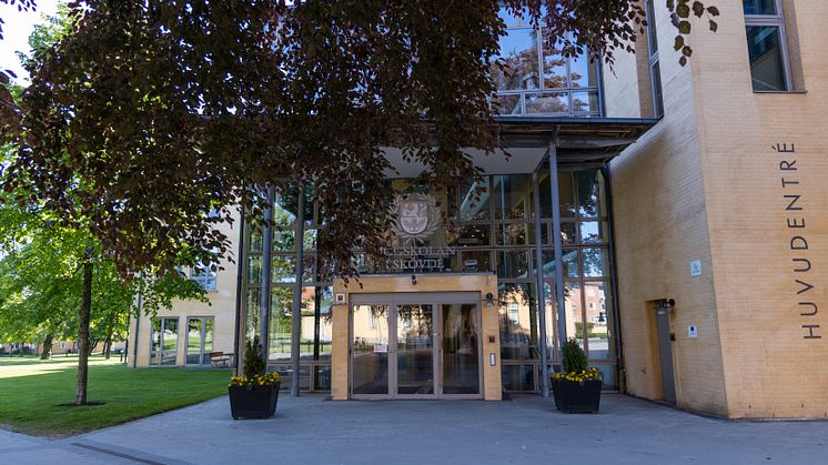 Den internationella konferensen HAISA hålls på Högskolan i Skövde 9-11 juli. 