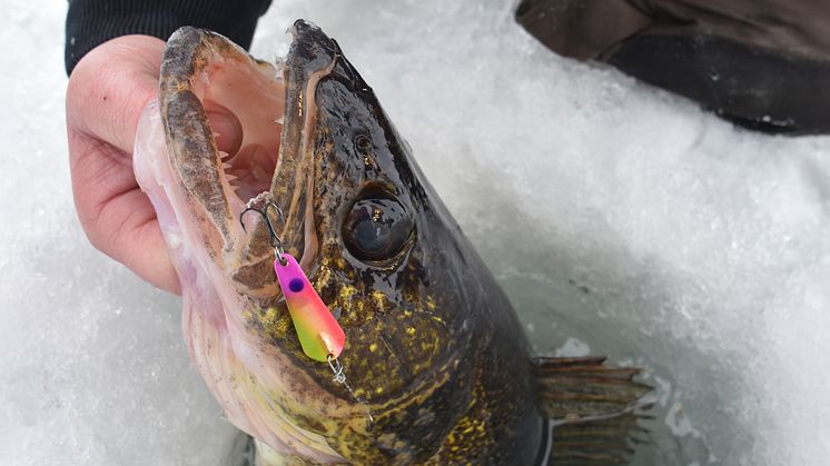 High res image - Raymarine - Ice Fishing Kit