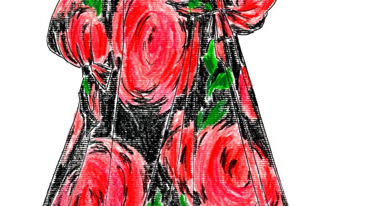 Klänningen gör mannen, illustrationer