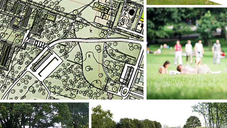 Grönt och skönt i Torparängen Park