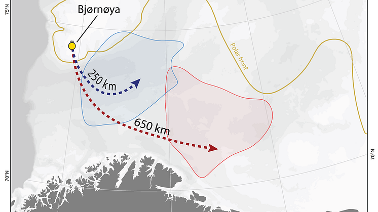 blog map