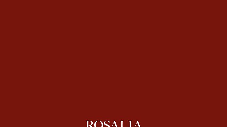 Rosalia artwork.jpg
