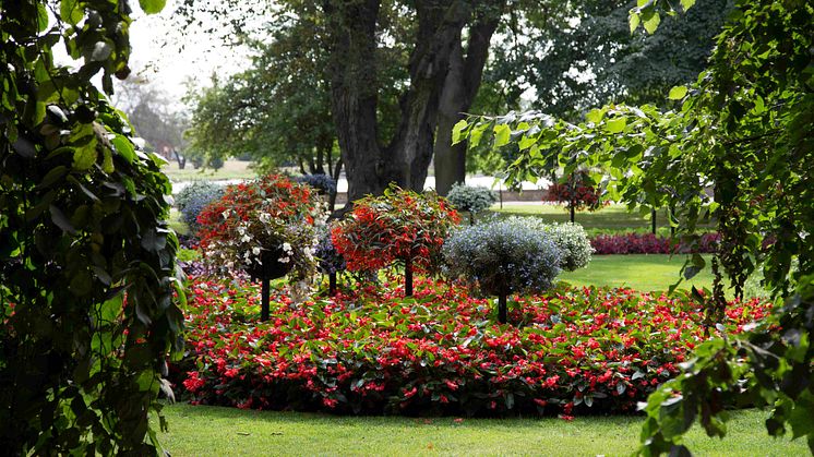 En av vandringarna sker genom Stadsparken, som är gestaltad utifrån trädgårdskonsten i 1800-talets Europa