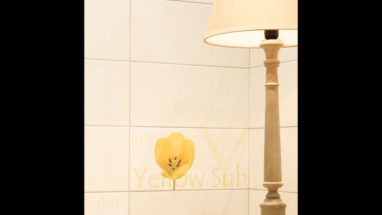 Roca Lux