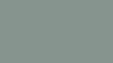 6232 Seaweed