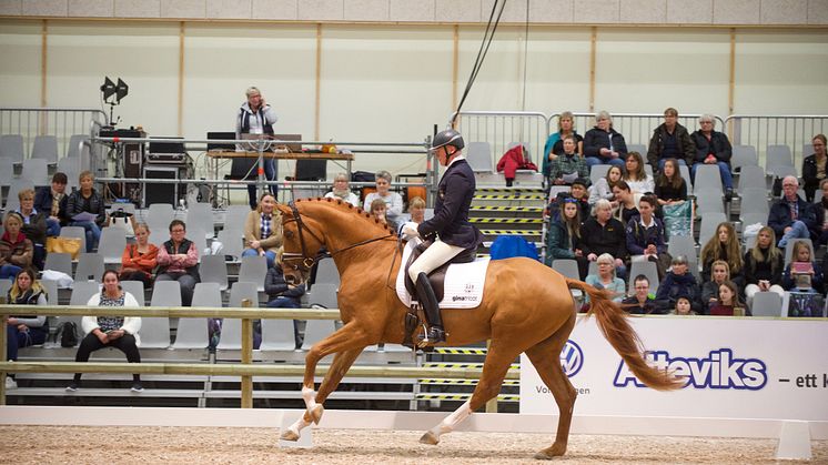 Jan Brink och RayMore