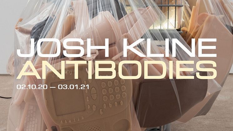 Josh Kline – Antibodies vises fra 2. oktober 2020 til 3. januar 2021