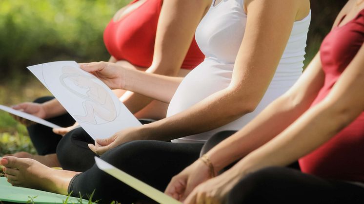 gravid.jpg