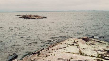 Dialogmöte i Tylösand: Hur ska olika intressen kunna samsas i Västerhavet?