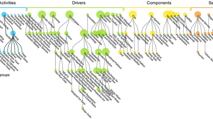 Figur sectors activities drivers components services