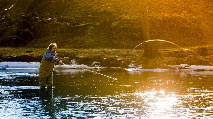 Flugfiskeprofilen visade vägen till Crambys fiskburgare