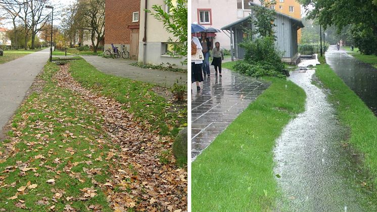 svackdike_torrt_regn