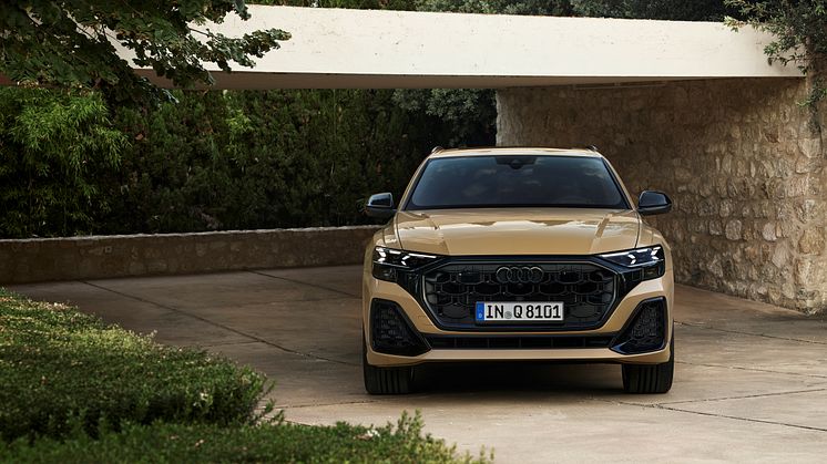 Audi Q8 (Sakhirguld)