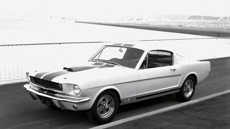 Q5_1965-Shelby-GT350-2
