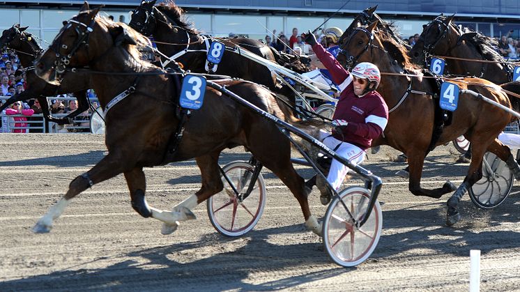 Svenskägde Commander Crowe vann Elitloppet 2012
