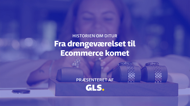 Historien om Ditur - Fra drengeværelset til Ecommerce komet