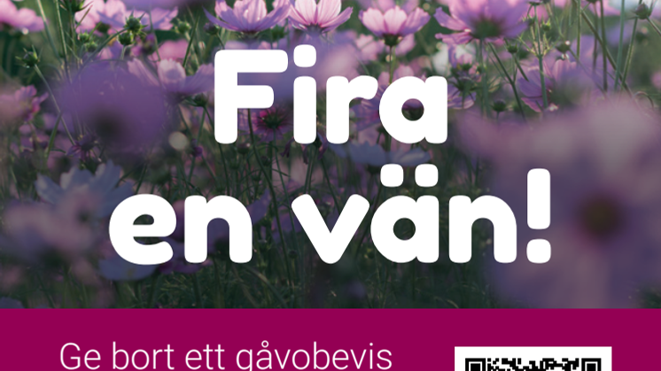 Erikshjälpen Fira en vän_80x133