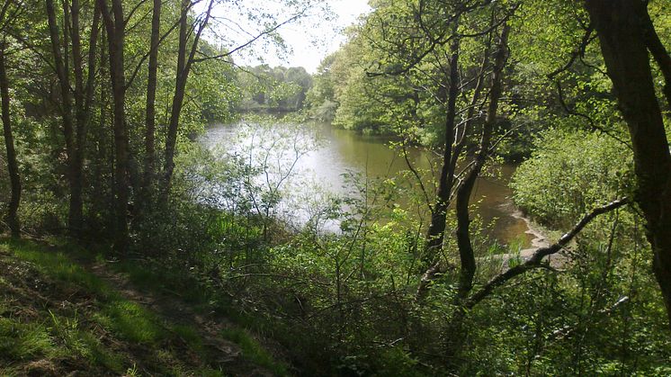 Bringing the borough’s beauty to its residents