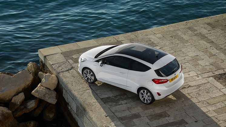 FORD_FIESTA_VIGNALE_34_ROOF
