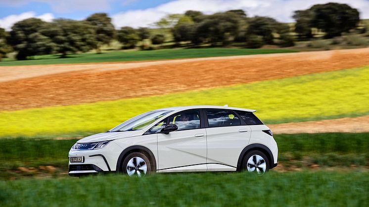 BYD Dolphin 