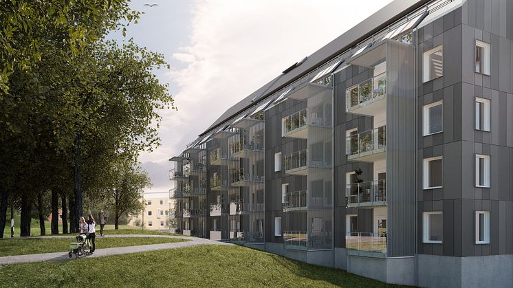 Jönköping - Räven1