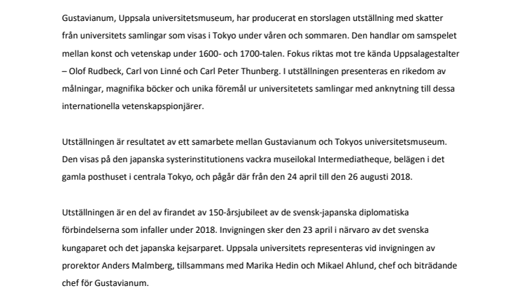 Informationstext
