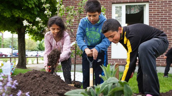 Barnen på Linnea fritids odlar och planterar runt om i Rosengård. De har varit med och skapat den nya botaniska trädgården i Örtagård som invigs den 14 september.
