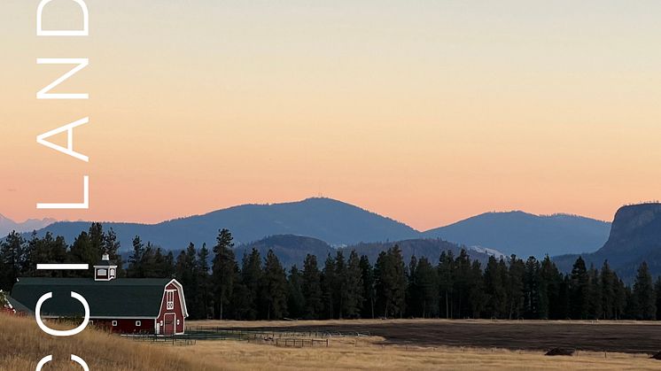 Omslag - Cicci Landén "Montana"