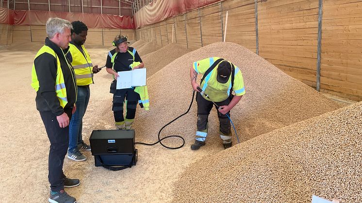 Projektdeltagare från Solör Bioenergi och Karlstads universitet på plats i pelletsfabriken i Älvdalen. Foto: Solör