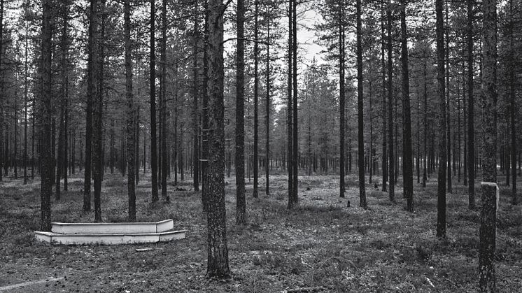 Pressbild 3: Samhällsmaskinen