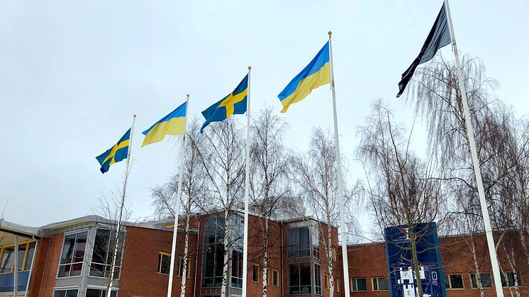 Flaggar för Ukraina