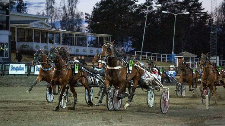 Foto: David Schreiner