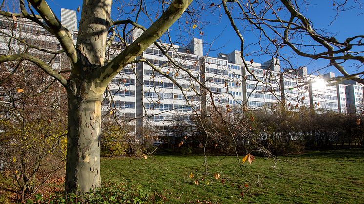 MKB Fastighets AB tillträder Taxeringsrevisorn 2 i Rosengård