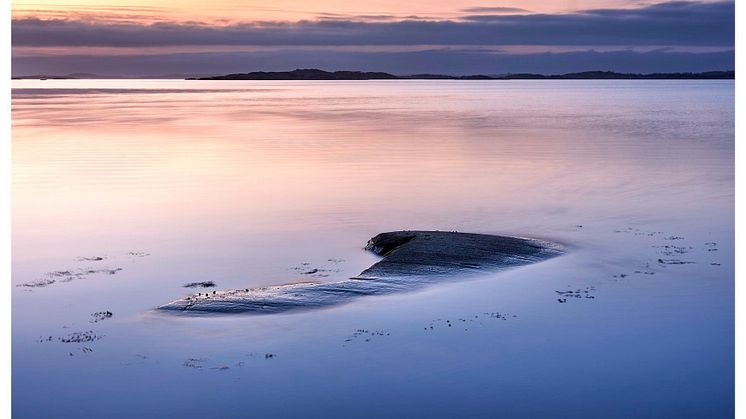 “She came to me in silence, her immense weight buoyed by the ocean below, the bulk of her under surface, as love often is, breathing in and out the molecules of remembrance”. Foto: Mattias Marklund