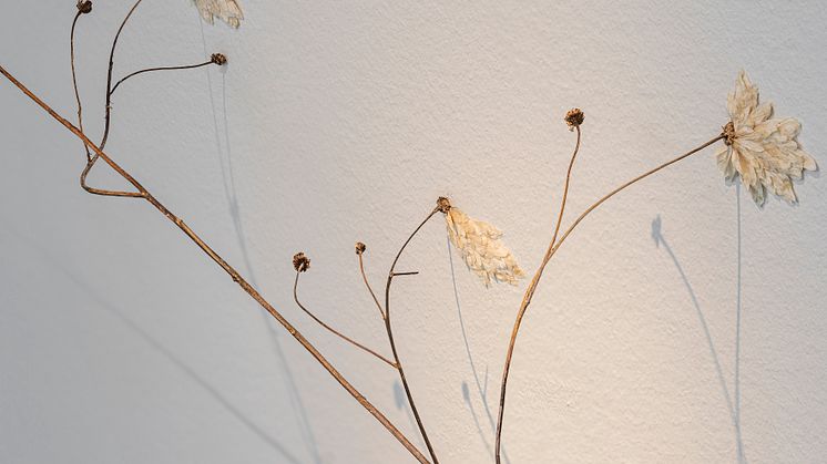 Charlotta Östlund Arrow, 2018