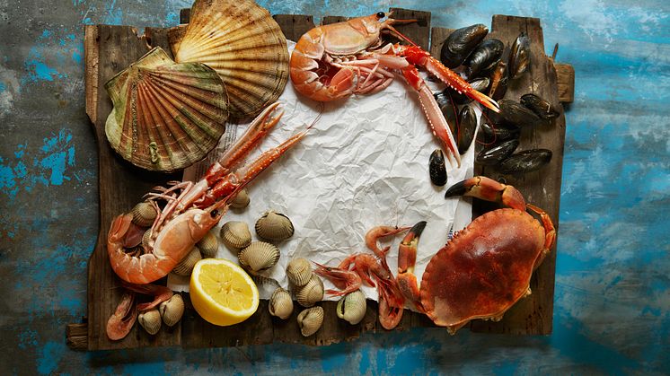 Michelin stars shine on shellfish from Norway