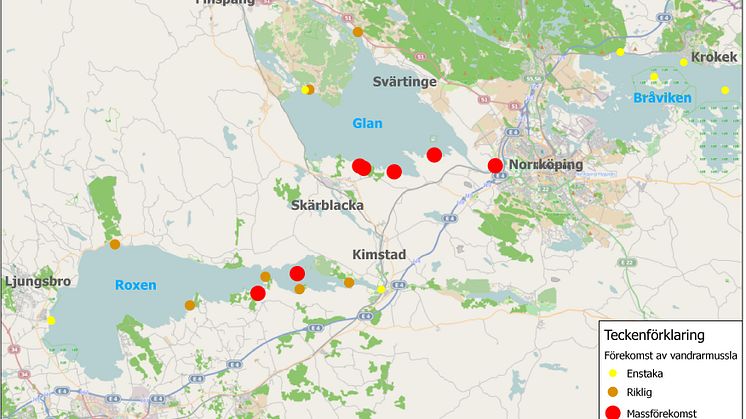 Rekordsnabb spridning av Vandrarmusslan