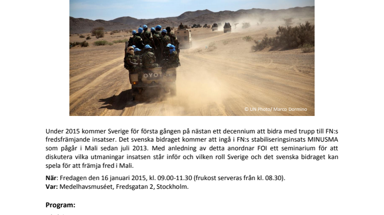 Timbuktu nästa - seminarium inför Sveriges truppbidrag till FN-insatsen i Mali