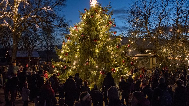 Skånes Djurpark bjuder in till Djurens Jul - en gnistrande vinterupplevelse för hela familjen. Från den 2 till den 30 december, varje lördag, söndag samt under mellandagarna.